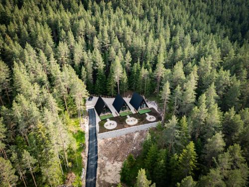 Zabljak Villa | Durmitor forest lodge