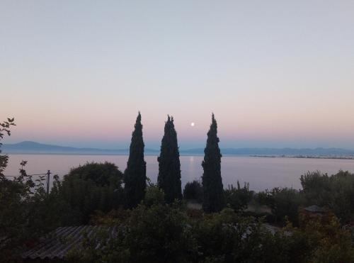 Paralia Vergas Apartment | Earth n' Water