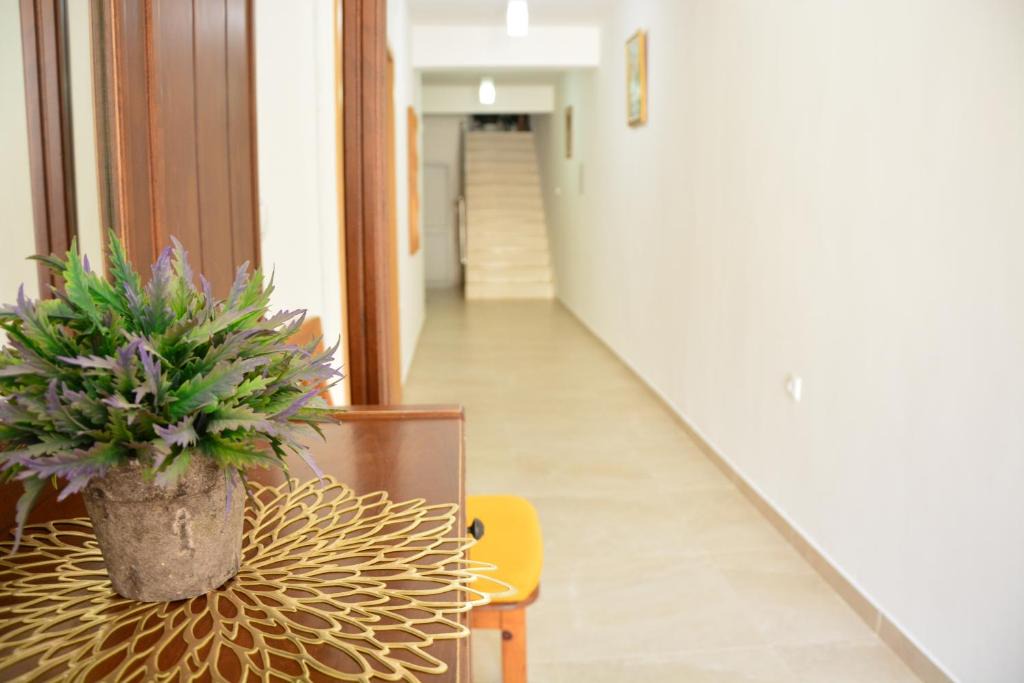 Rana House | Era`s House