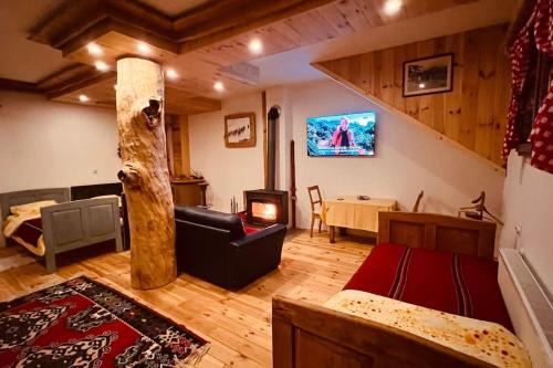 Montenegro Apartment | Ethnic Grand Room -Tara Place