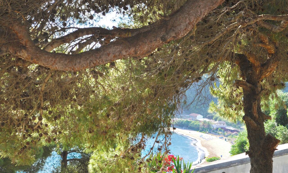 Parelia Apartment | Family Friendly Apartments With a Swimming Pool on Pelekas Beach