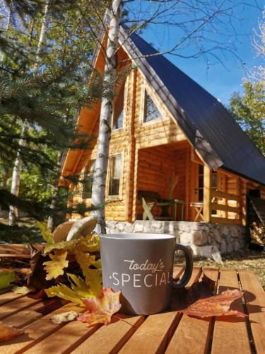 Pluzine House | Forest Rhapsody Brezna