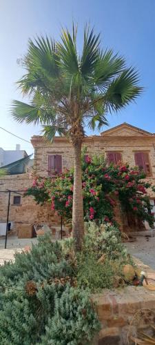 Chios Town Apartment | Gardino di Chios Mediovale