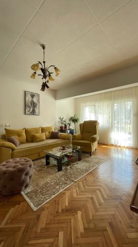 Centar House | Golden Grape House