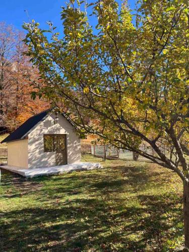 Savnik Apartment | Grabovica Village Hideaway