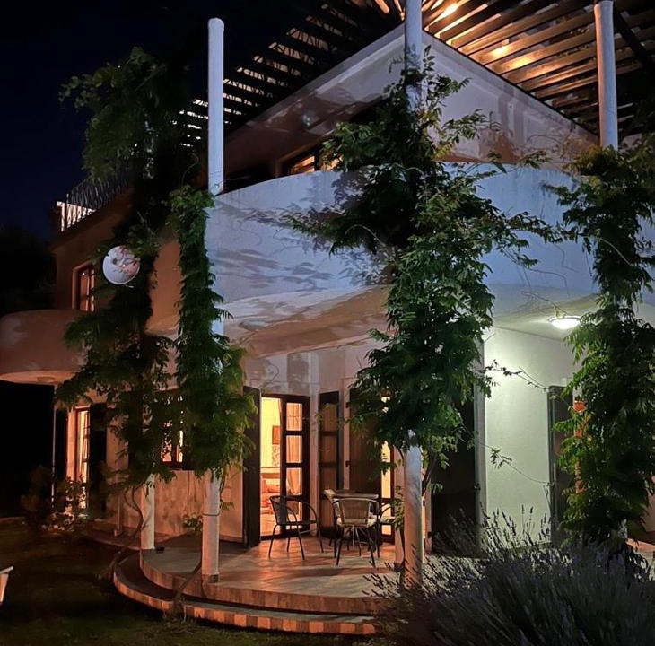Susanj Villa | Green Villa in Olives