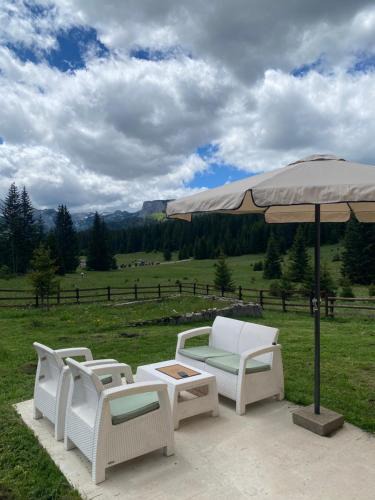 Zabljak House | Guest House Dzajovic