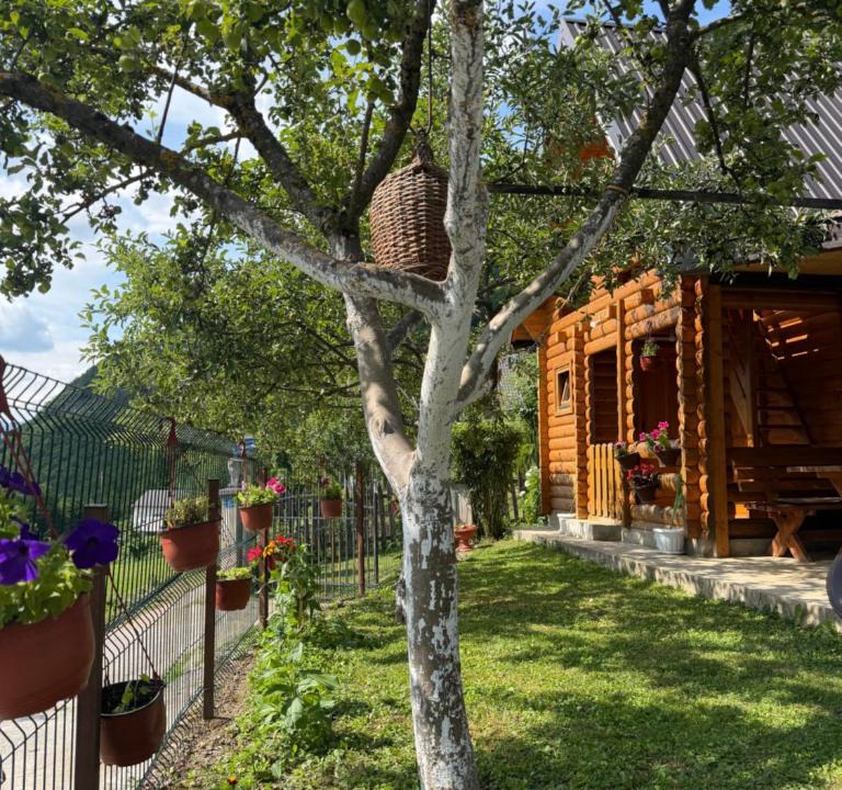 Vusanje House | Guest House Kollata