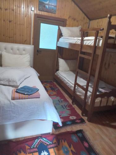 Llogara National Park House | GuestHouse Hamiti Llogara