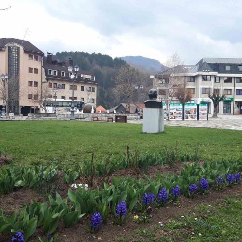 Kolasin House | GUESTHOUSE TARA