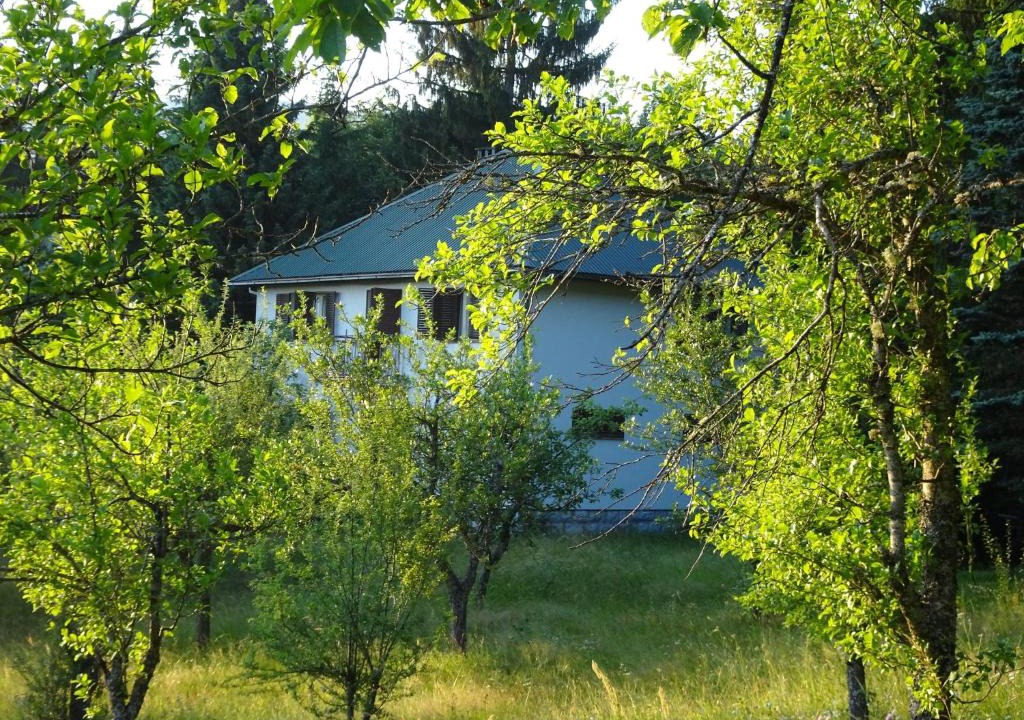 Pricelje House | Holiday Home Crkvina