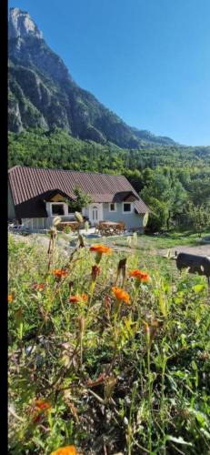 Kukes County Hostel | Hostel Sherifaj