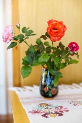 South Rhodes House | House Salvia