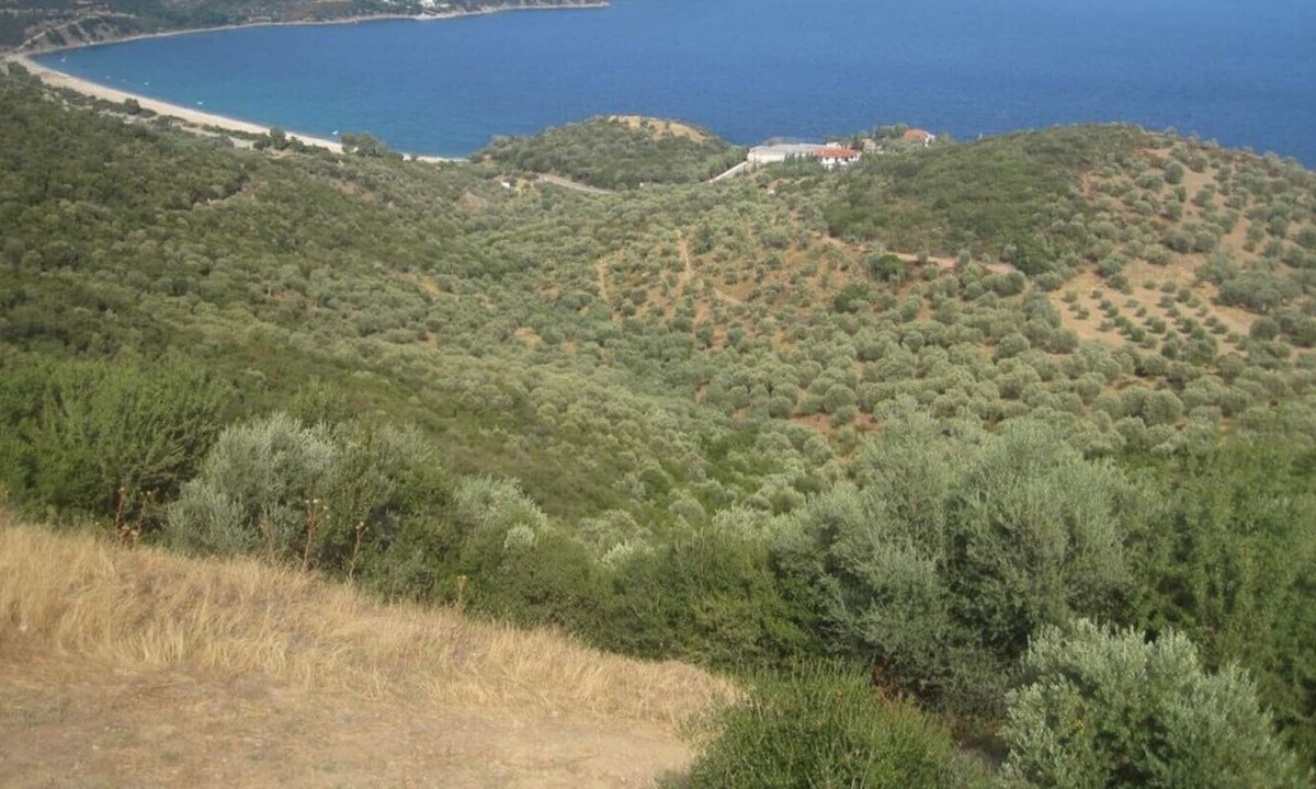 Pirgadikia House | House SOFIA - Quiet house with a large garden for a relaxing holiday