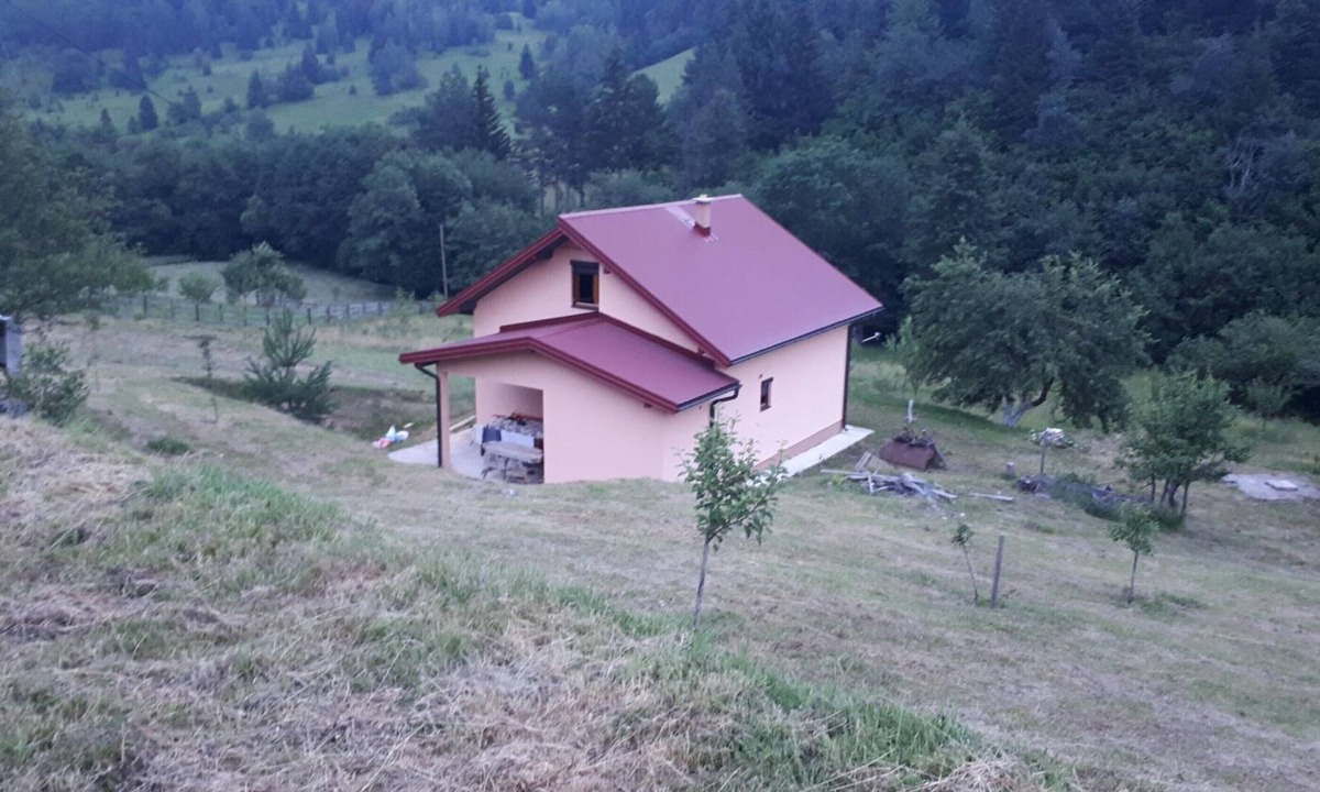 Ninkovici House | House with big garden, next to the mountain river