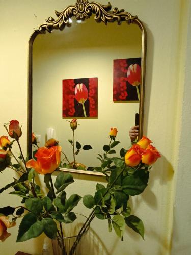 Apalos Apartment | joanna's house