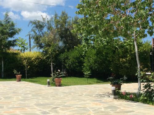 Gastouni Apartment | Kardiakafti Village