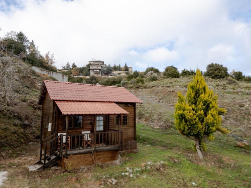 Synikia Mesi Trikalon Ski Chalet | karion houses