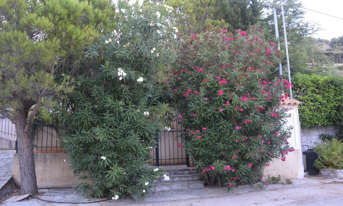 Marathon House | KAROLINA'S HOUSE NEAR THE SEA