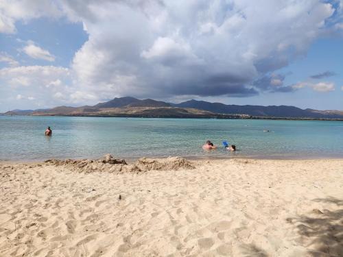 Elafonisos Apartment | Kedros -Small Seaside Studio -Ground Floor
