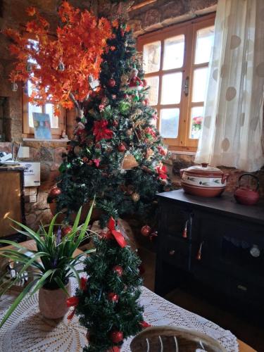 Alexandroupoli House | Kirki Old Winery Guest House