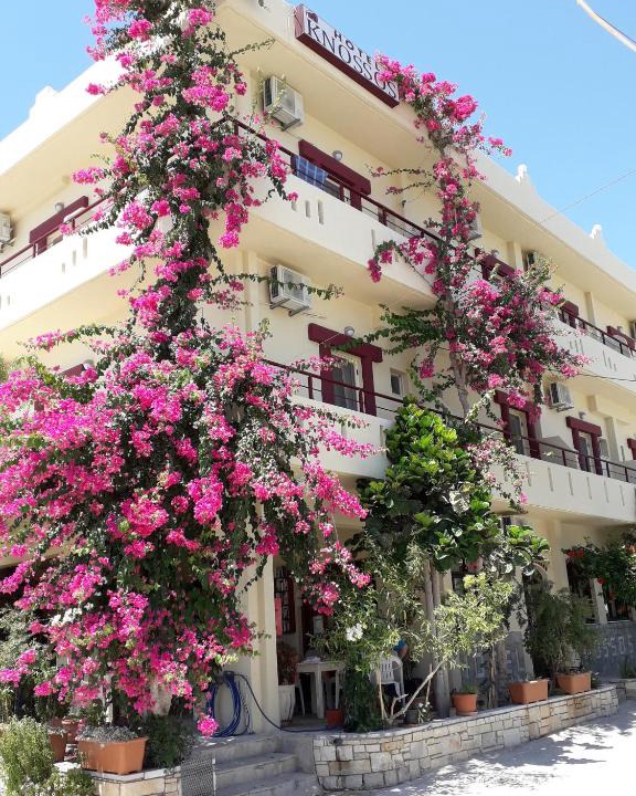 Kalamaki House | Knossos Hotel