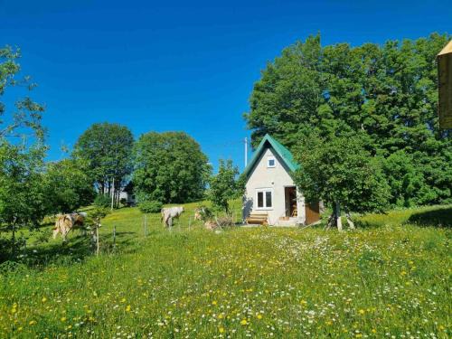 Zabljak House | Koala