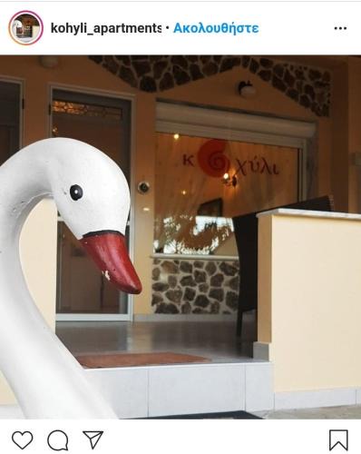 Skala Rachoniou Apartment | Kohyli Apartments