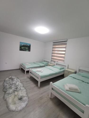Plav Apartment | Konak