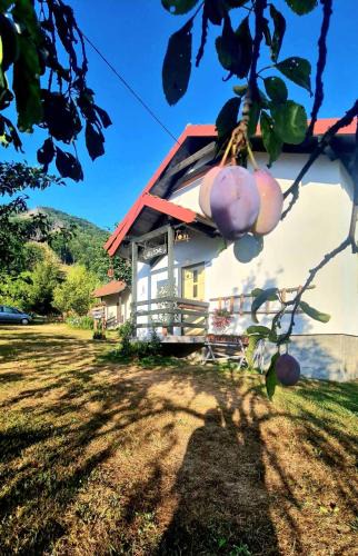 Plav Apartment | Kosta's romantic house