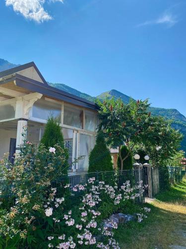 Vusanje House | Lola Guest House