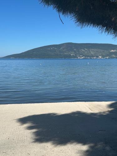 Zelenika Apartment | Lovor apartmani