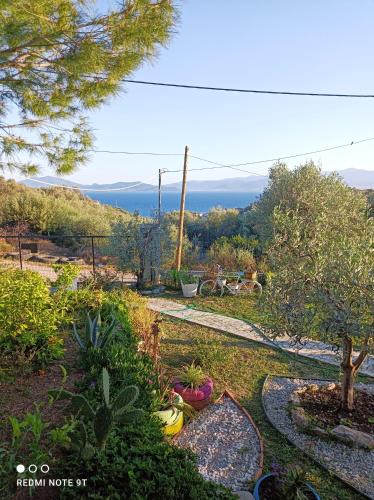 Volos House | Marathos Hill