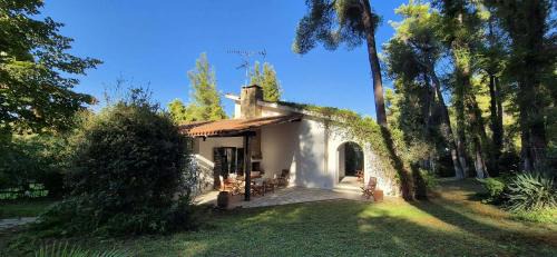 Sane House | Melistia in Sani