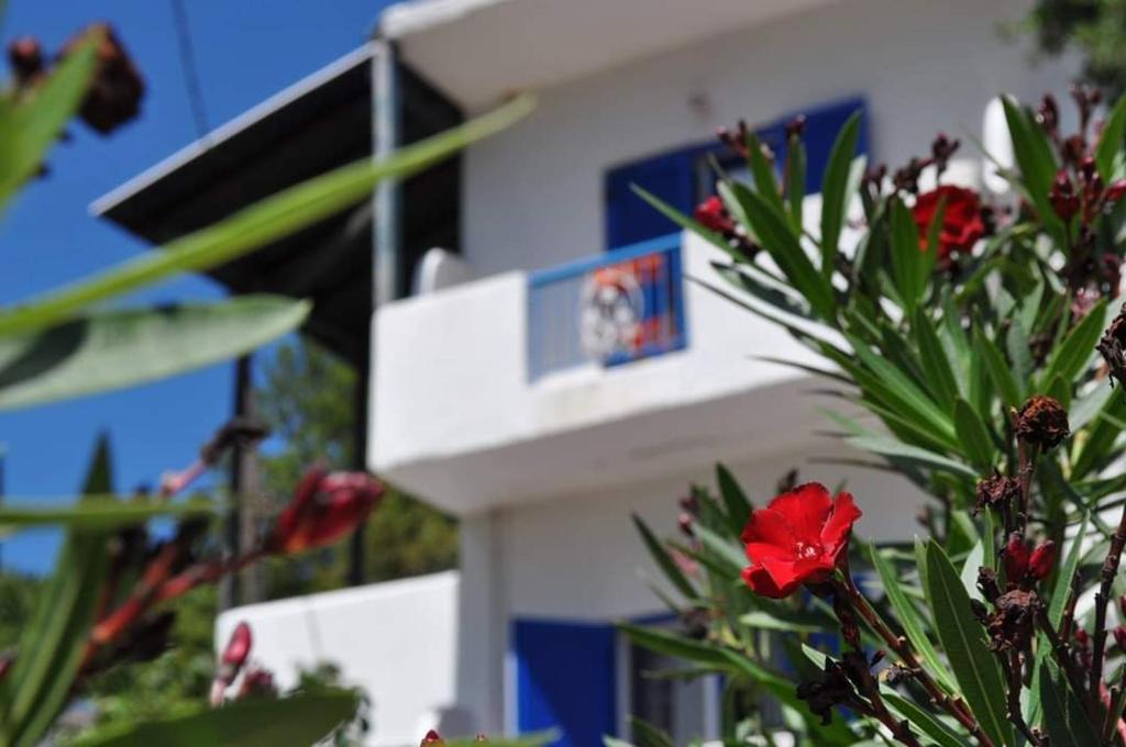 Therma Apartment | Milisia Rooms