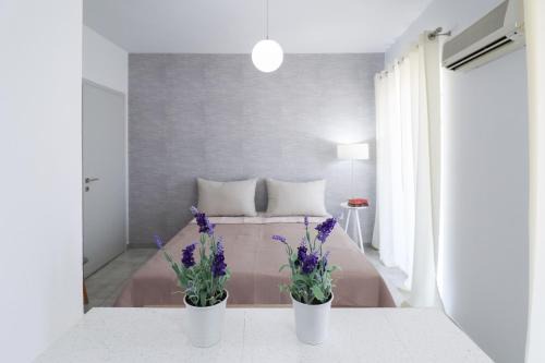 Loutra Edipsou Apartment | Modern Apartments Edipsos