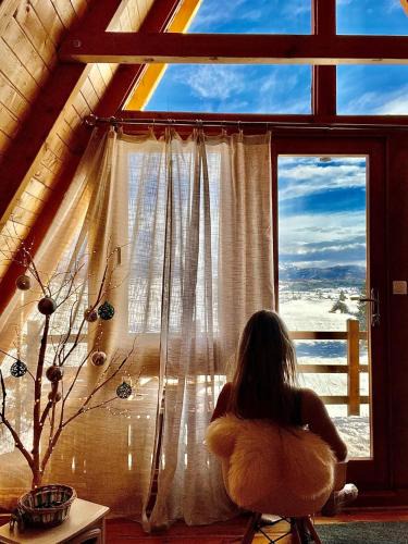 Ninkovici Ski Chalet | Monte Zen