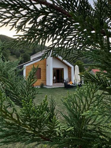 Mojkovac House | Mountain Mirage