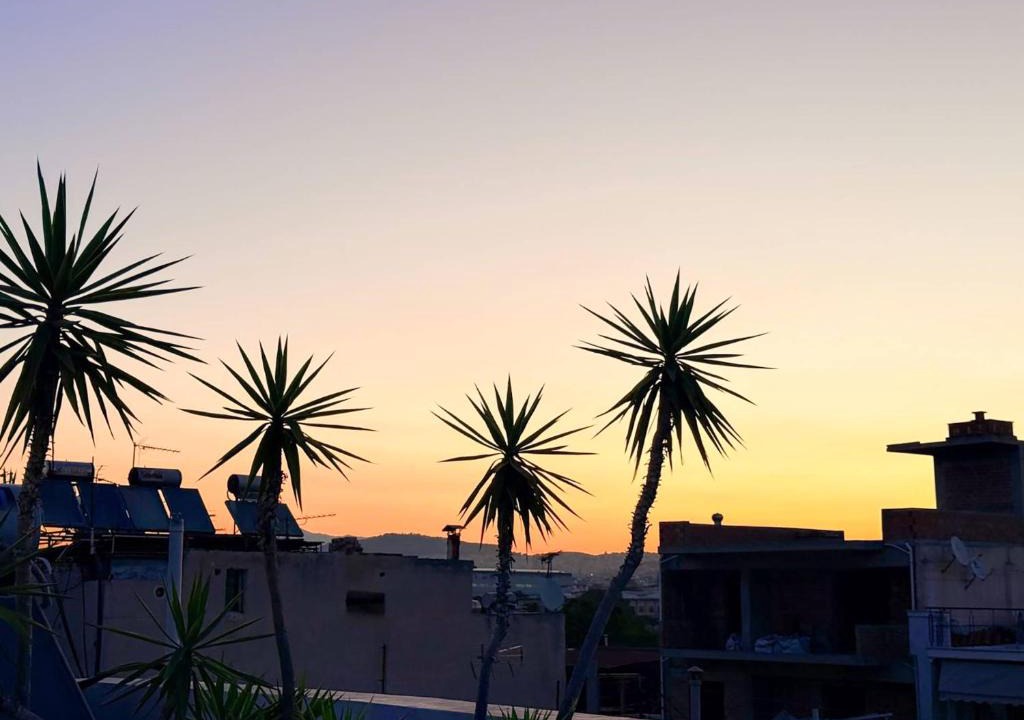 Tavros House | My Bouganvilla Home Acropolis View Stay in Tavros