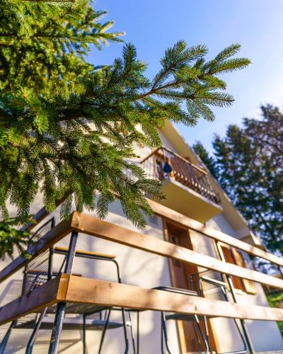 Kolasin House | Nabrdo Mountain House