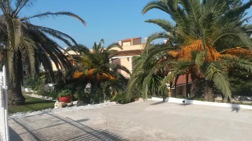 Agios Georgios Pagon House | Natassa House 2