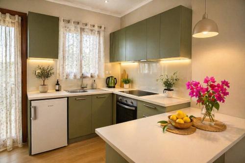 Vlachopoulatika Apartment | Nikoletta 5