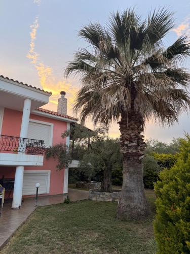 Makri House | Olea House