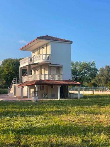 Zalongo Apartment | Olive Tree Villa