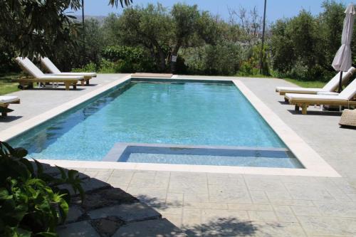 Korfalonas Apartment | Olive View