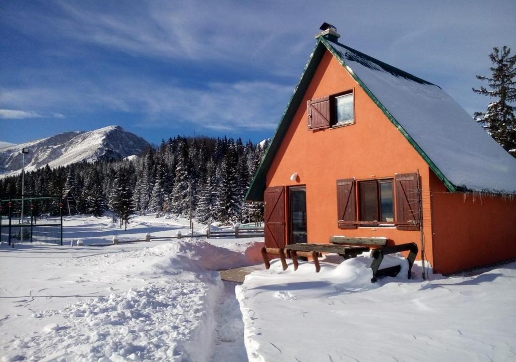 Razvrsje House | Orange House in nature