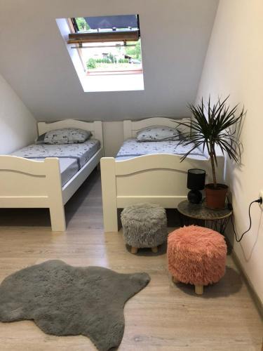 Pluzine Apartment | Peaceful apartment