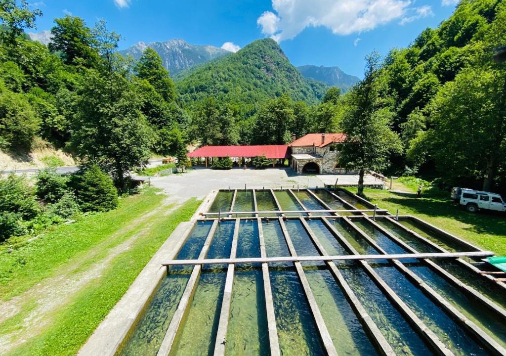 Strellc i Epërm House | Perroi Shqiptar