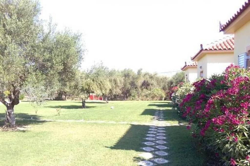 Kakovatos House | Phyllida Guest House - M4