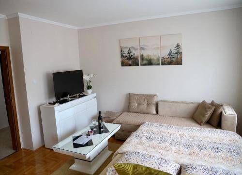Pluzine Apartment | PivApart